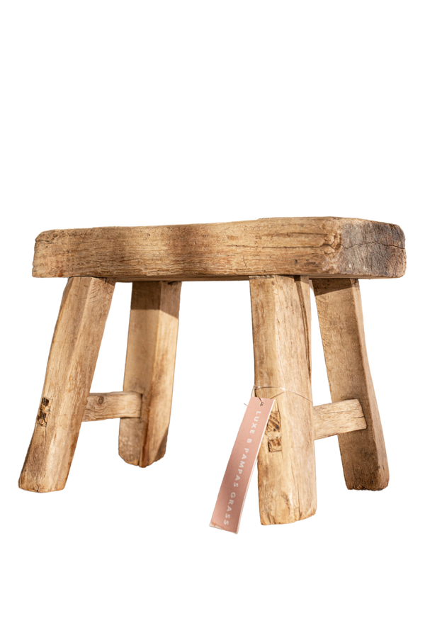 Atelier Baby Stool Elm Bench Vintage - Luxe B Pampas Grass  Canada , dried flowers and pampas grass Canadian Company. Bulk and wholesale dried flowers and pampas grass fluffy. Large White Pampas Grass Toronto