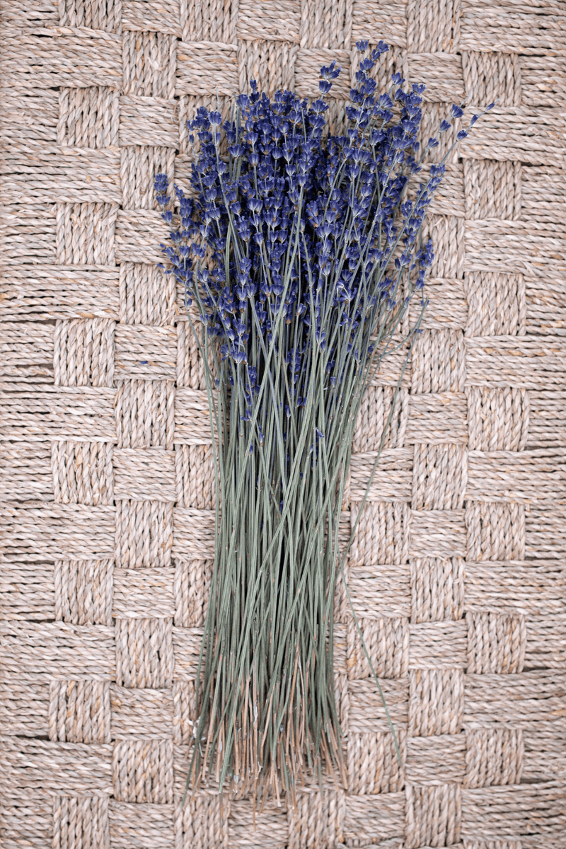 Dried Lavender Bouquet - Luxe B Pampas Grass  Canada , ships via Canada Post from Edmonton 